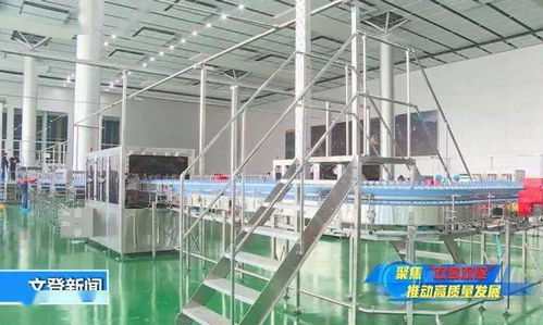 管家式服務讓健康生態(tài)飲品項目落地生根——邢臺正餐服務新典范